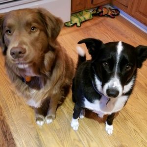 Meet your Posher, Denise